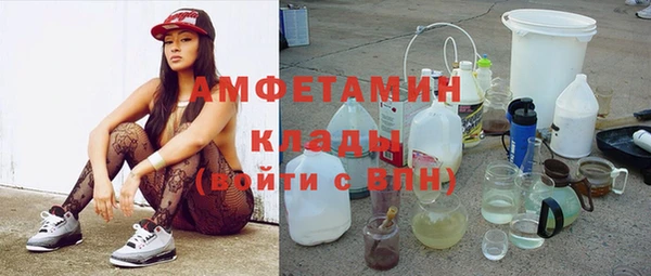 хмурый Алексин